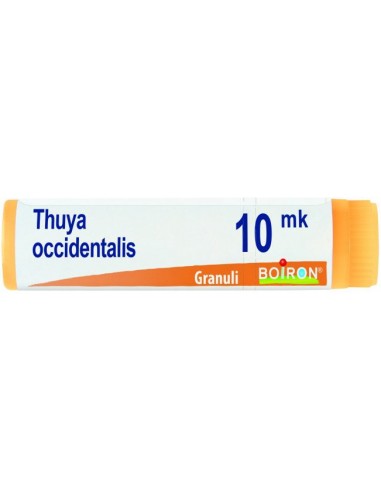Thuya Occidentalis Xmk Globuli 1g