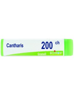 Cantharis 200ch Globuli 1g
