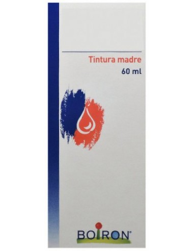 Hypericum Perforatum Tintura Madre 60 Ml