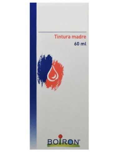 Thuya Occidentalis Tintura Madre 60 Ml