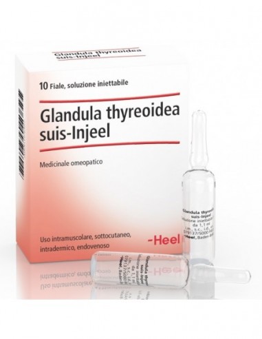 Heel Glandula Thyroidea Suis Injeel...