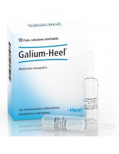 Heel Galium 10 Fiale Da 1,1 Ml L'una