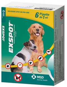 Exspot Spot-on Soluz 6...