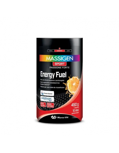 Massigen Sport Energy Fuel 500 G
