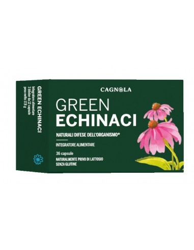 Green echinaci 36 capsule
