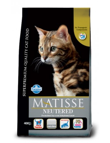 Matisse neutered new 10 kg