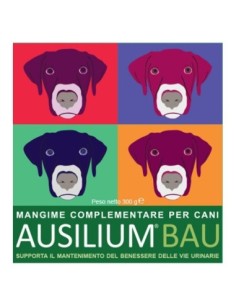 Ausilium bau 300 g con...