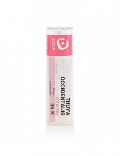Thuya Occidentalis 35k Granuli