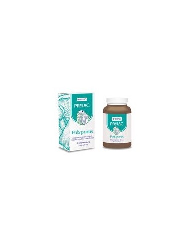Prolac polyporus 90 compresse