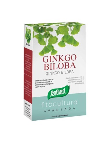Ginkgo biloba 40 capsule