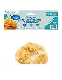 Spugna marina naturale maxi...