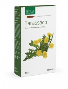 Tarassaco Biologico 20...