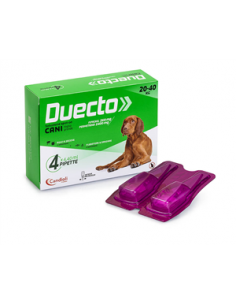 Duecto Spot-on Soluz 4...