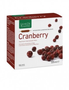 Cranberry Biologico 15...
