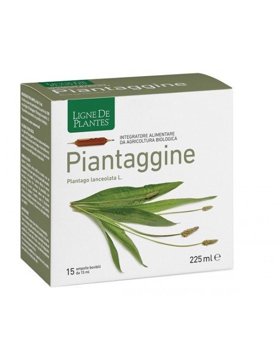 Piantaggine 15 Ampolle Bevibili 15 Ml