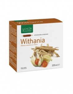 Withania 15 Ampolle...