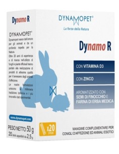Dynamo r 20 stick da 2,5 g