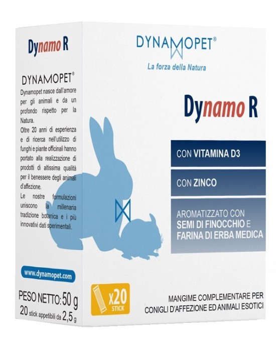 Dynamo r 20 stick da 2,5 g