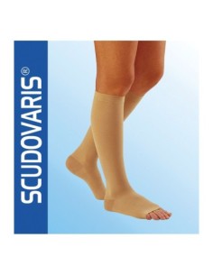 Gambaletto scudovaris...
