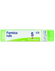 Formica rufa 5ch gr 4g