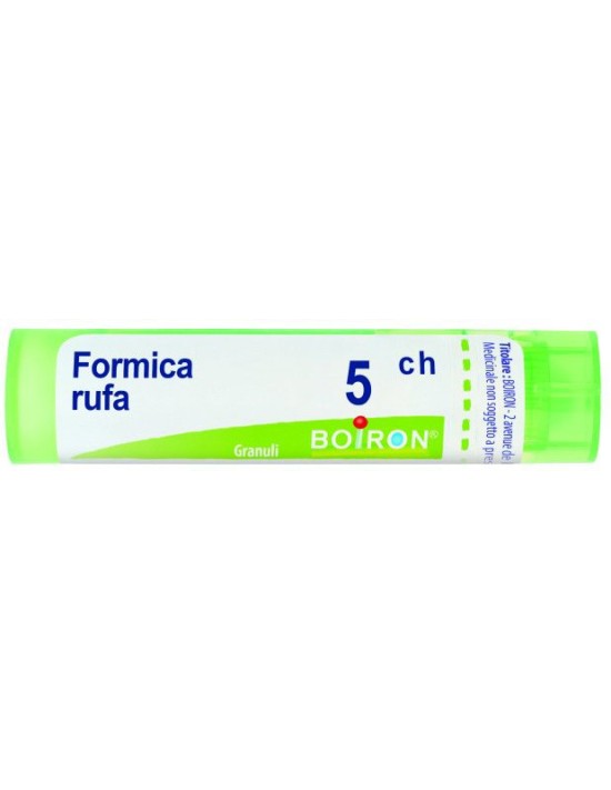 Formica rufa 5ch gr 4g
