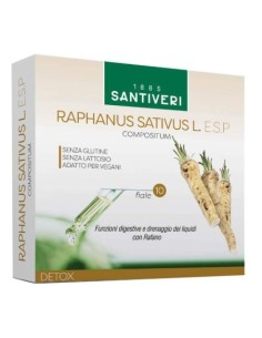 Raphanus sativus l esp 10...