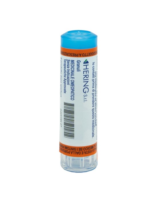 Bryonia*5ch 80gr 4g