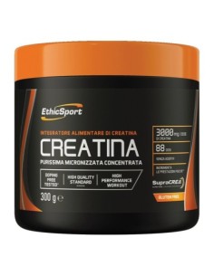 Ethicsport creatina 300 g