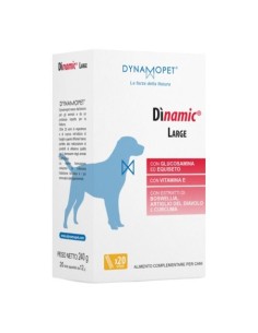 Dinamic large 20 stick da 12 g