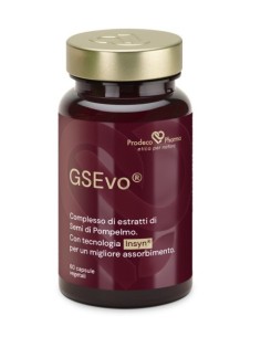 Prodeco insyn gse evo 60...