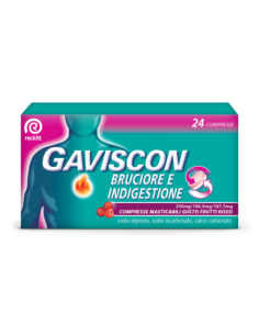 Gaviscon bruciore ind 24...