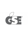 GSE