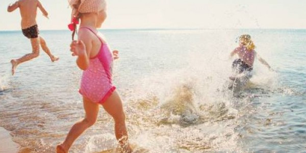 PUNTURE ESTIVE: MEDUSE, VIPERE E CALABRONI, CHE FARE?