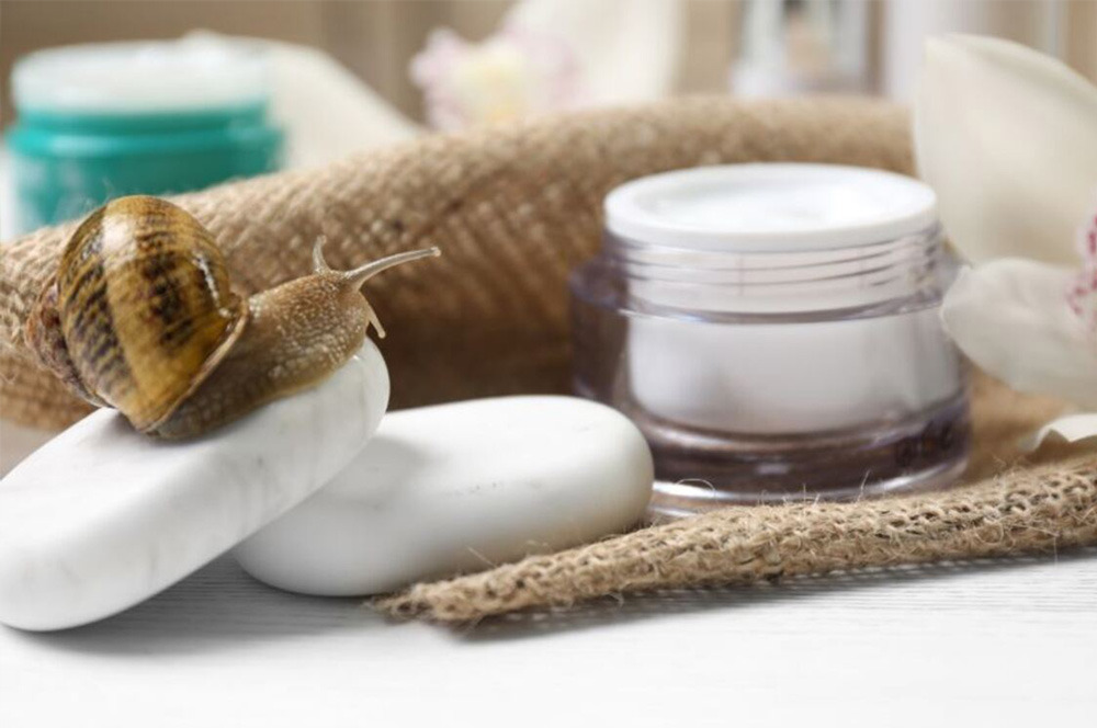 CREMA BAVA DI LUMACA: QUALE SCEGLIERE